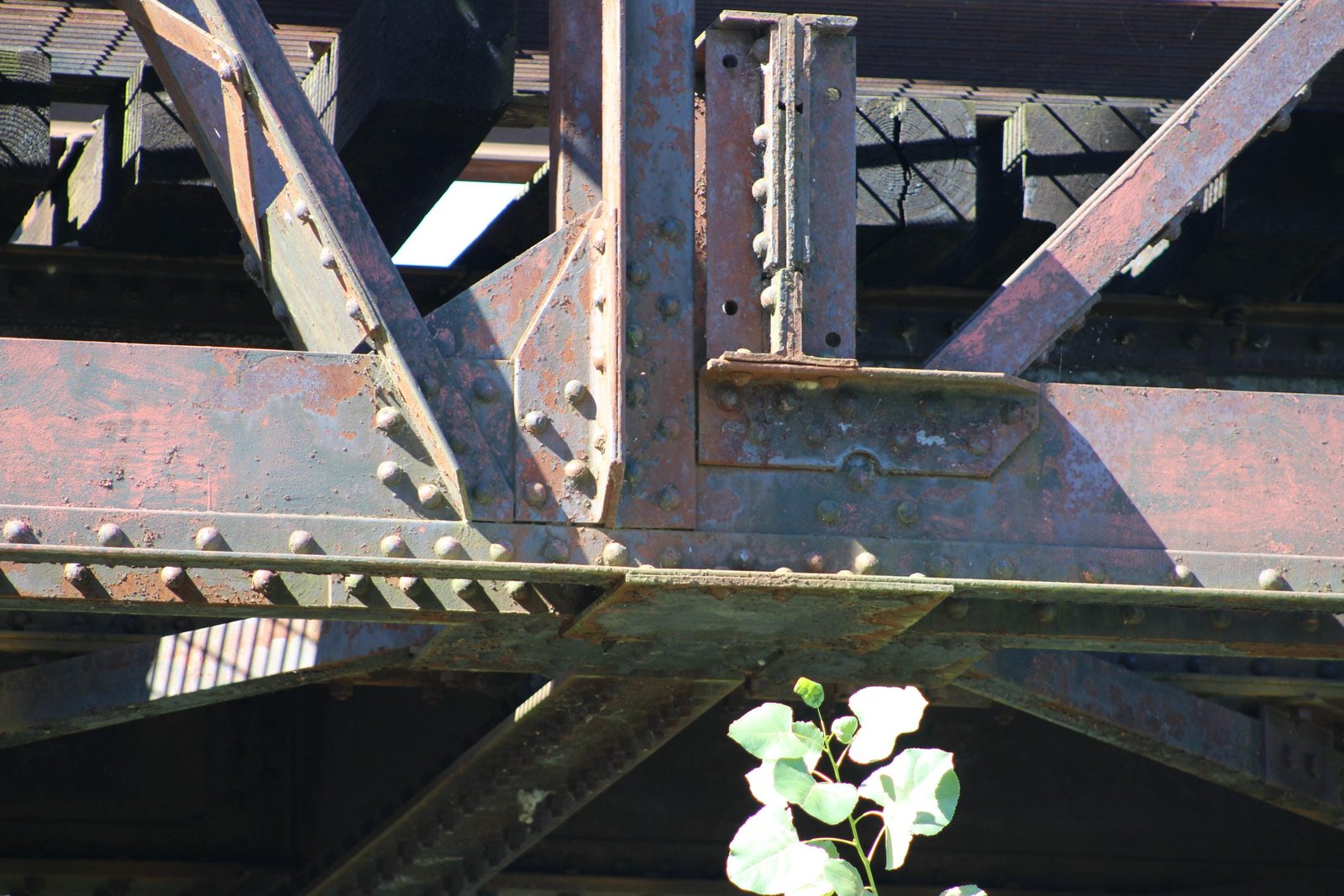Lower connection